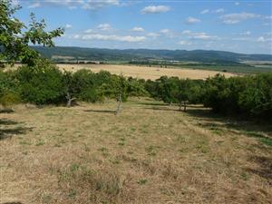 Pohľad na skúmanú lokalitu TML_6510_105_Pukanec_3.8.2013